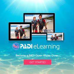 Open Water Diver Elearning